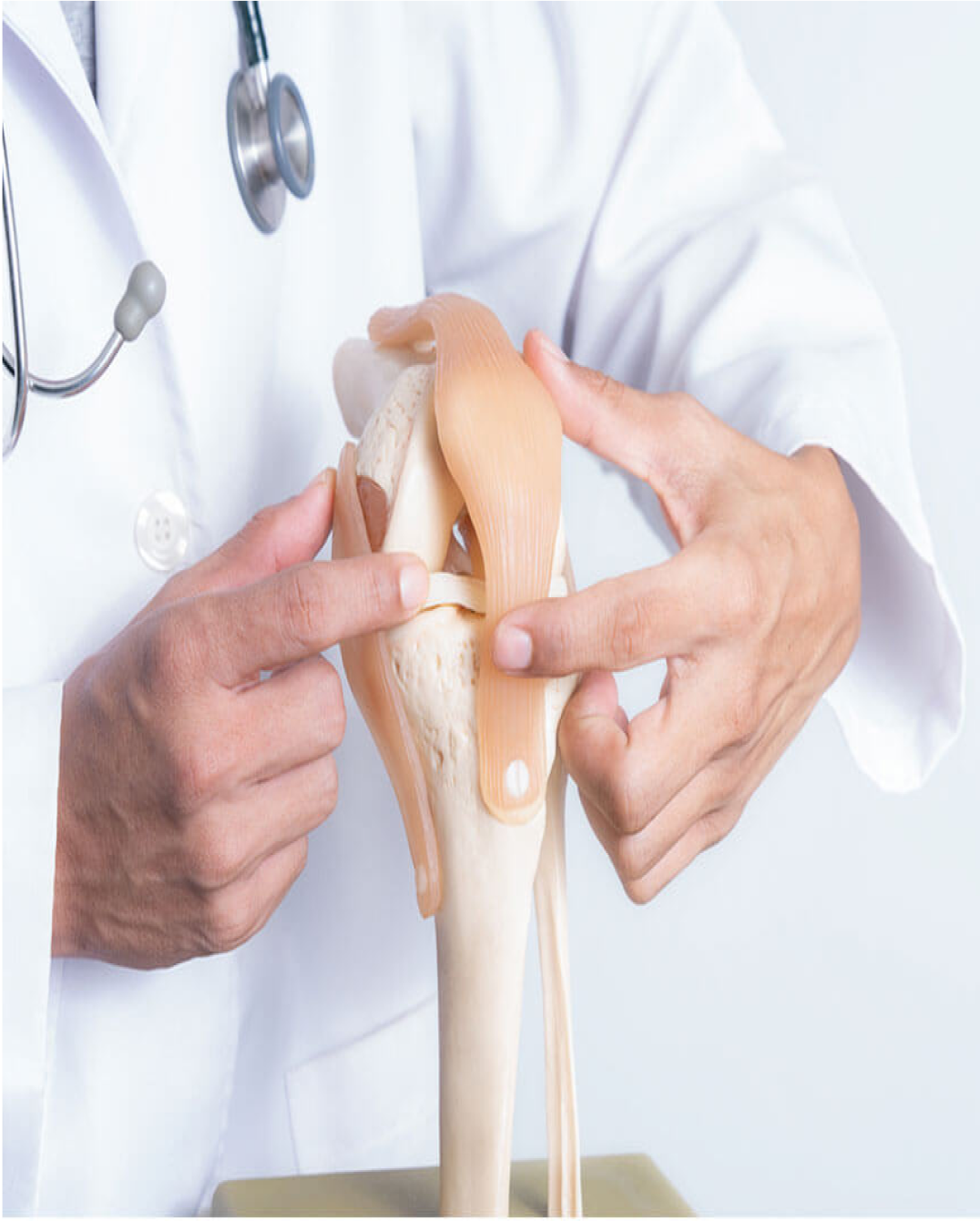 Knee Replacement
