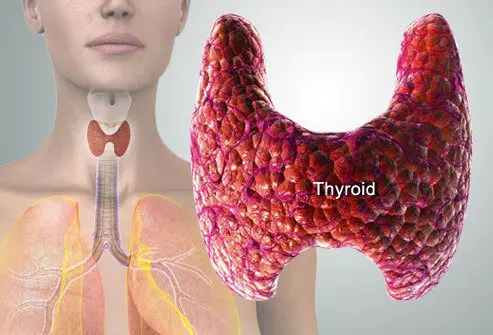 Thyroid Disorder Treatment